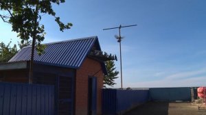 Голубиное хобби длиною в жизнь. Голуби - Ленинградская.