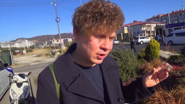 Сочи Зимой. Выпуск 1: Тисо-Самшитовая роща, Бизнес lounge  Внуково и отель Гамма-Сириус парк