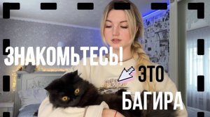 ЗНАКОМЬТЕСЬ, ЭТО БАГИРА!