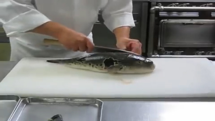 Fugu-Cook-Cut [Flokossama] смотреть онлайн