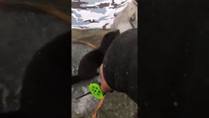 Не дает порыбачить