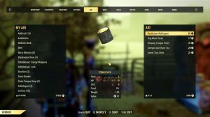 Ally: Yasmin Chowdhury & Backpack Flair Feature Overview | Fallout 76 Steel Dawn