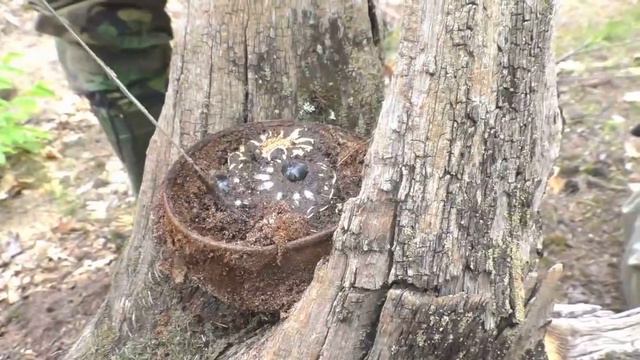TREASURE! WE FOUND A LOT OF GOLD AND DIAMONDS IN A FOREST HIDING PLACE! смотреть онлайн