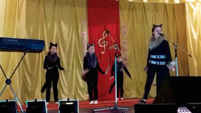 Песня-"Черный кот исп.Анастасия Молотова смотреть онлайн