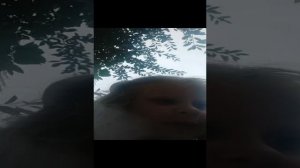 VID_20230713_154118.mp4
