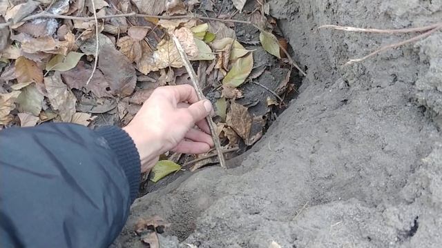 XP ORX - Тест на Крестик КР. смотреть онлайн