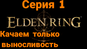 ELDEN RING качая только выносливость #1