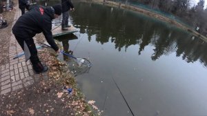 Голицыно Fish пятница Поймал-отпустил