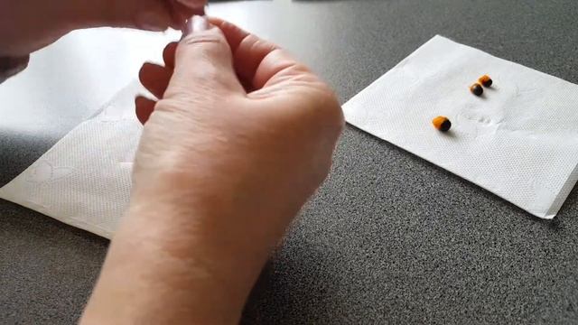 Стрелиция королевская/ Выращивание стрелиции дома / Тропический чудо-цветок / Часть 1/5 смотреть онлайн