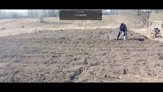Культивация огорода мотоблоком #культивация #мотоблок