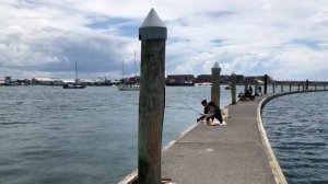 [4K NEW ZEALAND] Tauranga Bridge Marina, Tauranga