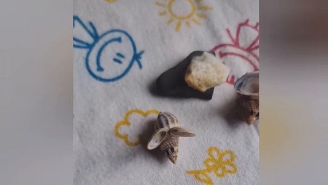 Мышки и слон из ракушек,Анапа2021,Витязево отдых смотреть онлайн