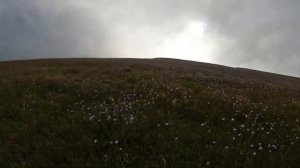 большая гора Усиша