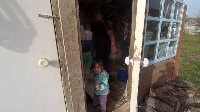 КУПИЛИ ДОМ НА ХУТОРЕ | ДВА ДНЯ В ПАЛАТКЕ, РАСКОПКИ И ПАЦИЕНТ #жизньвдеревне #хутор #переездвдеревн смотреть онлайн