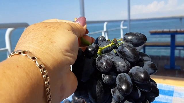 Виноград Кодрянка. 2020г Иссык-Куль. смотреть онлайн