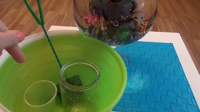 Уход за рыбкой петушком. смотреть онлайн