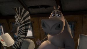 DreamWorks Madagascar | ¿Otros chicos? | Madagascar: Escape 2 África