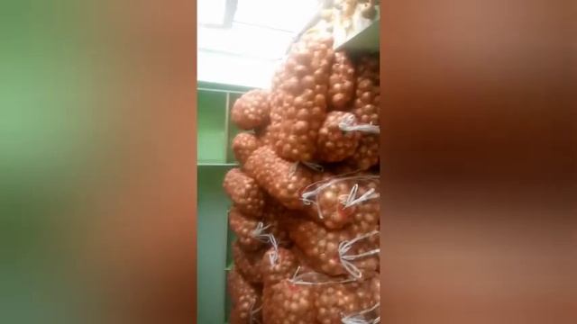 17 ноября 2023 г. смотреть онлайн