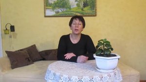 Отзыв об отдыхе в Пансионате "Сосновая Роща", Абхазия