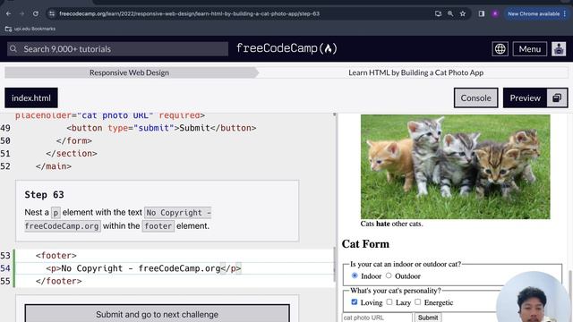 FreeCodeCamp Bahasa Indonesia | HTML Element Footer, Head, Title. [SELESAI]