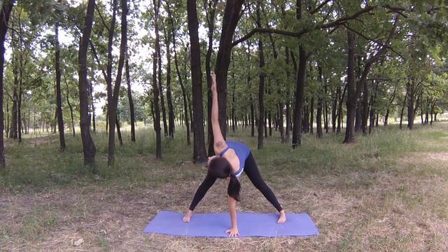 Йога для беременных 2 триместр смотреть онлайн