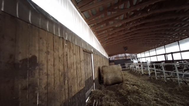 Расширяем коровник для дойных коров