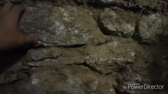 Как уничтожить плесень на стене комнаты ? смотреть онлайн