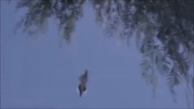 2. Жизнь Святого Пророка Мухаммада. Жизнь пророка Открытая книга. смотреть онлайн