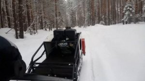 Влог покатушки на мотособаке по лесу часть 3