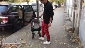 Коляска автокресло foofoo аналог doona