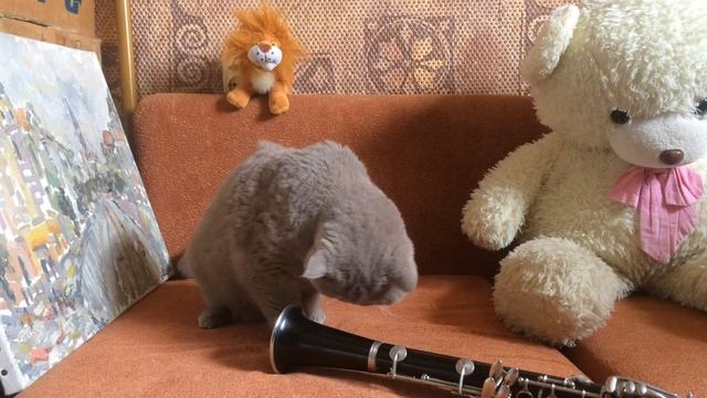 Итальянская полька Рахманинова на кларнете в исполнении Кристины Матвиенко (фрагмент) смотреть онлайн