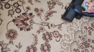 Пылесос Arnica Bora 4000