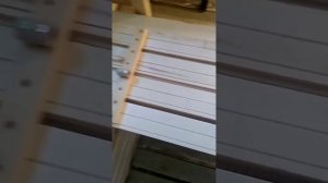 Полок в парной из осиновой вагонки.длина 2.8м.