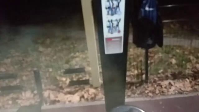 Обзор тренажёров на спортплощадке в парке им Гагарина в Симферополе. Часть 2. Упражнения на спину.