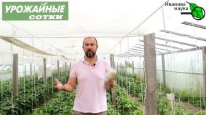 ОДНИМ УДАРОМ по вредителям: слизни, уховертки, тли, кивсяки и улитки уйдут НАВСЕГДА!