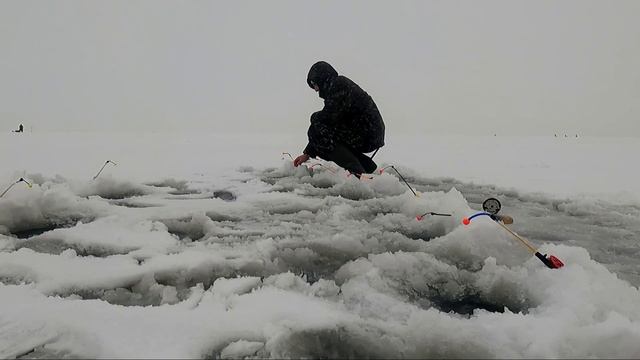 Корюшка Финский залив январь 2022 рыбалка на дамбе Финского залива СПб смотреть онлайн