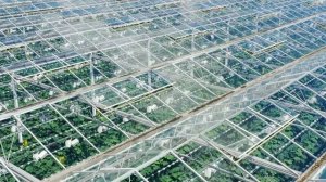 Презентация Выборжец