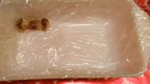 Закуска из куриных желудочков/ХОЛОДНУЮ МЯСНУЮ ЗАКУСКУ/Деликатес из КУРИНЫХ ЖЕЛУДОЧКОВ