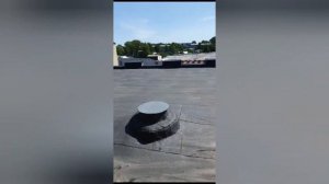 Новый вид поиска, не смотри это видео.