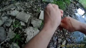 Голавль на силикон. Жук или таракан?