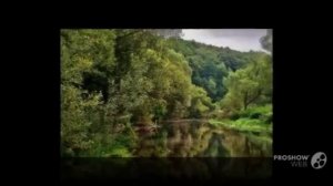 Я покинул родимый дом .mp4