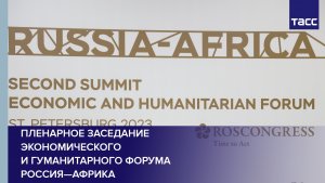 Пленарное заседание экономического и гуманитарного форума Россия—Африка