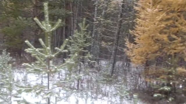 Осенняя Охота на полях Соцгородок Восточная Сибирь Иркутская обл 3 октября 2016 г смотреть онлайн