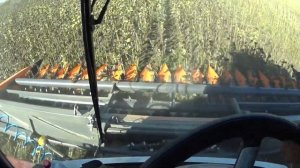 Жатка ORANGE SEED SFH 7800 и комбайн ACROS 595 Plus