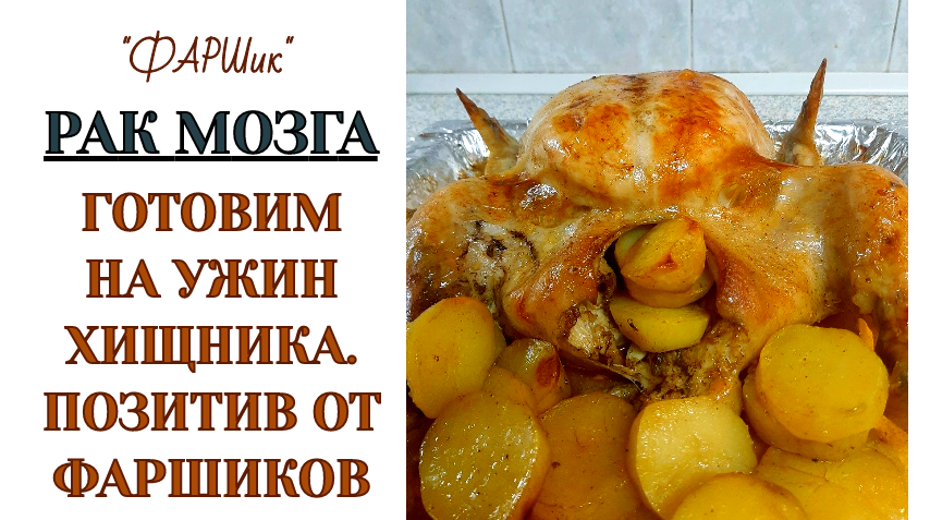 РАК МОЗГА, ГОТОВИМ НА УЖИН ХИЩНИКА, ПОЗИТИВ ОТ ФАРШИКОВ