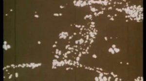 Второй Ватиканский собор (1962-1965)