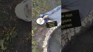 Запуск огромных огольцов в собственный пруд