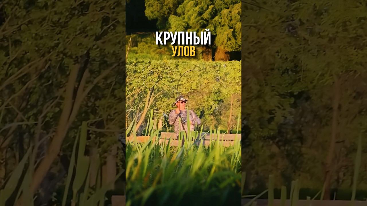 РЫБАЛКА С ДРУЗЬЯМИ #охотарыбалка #добыча #рыбалка #рыба #рыбалка2024 #друзья #рыбалкаиохота
