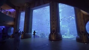 Подводные рестораны