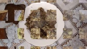 СПАРАССИС КУРЧАВЫЙ. И всё ж таки, я его съел!  Приготовил этот Бараний гриб,  эту Грибную капусту.